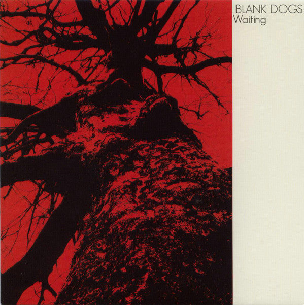 Blank Dogs : Waiting (7", Single)